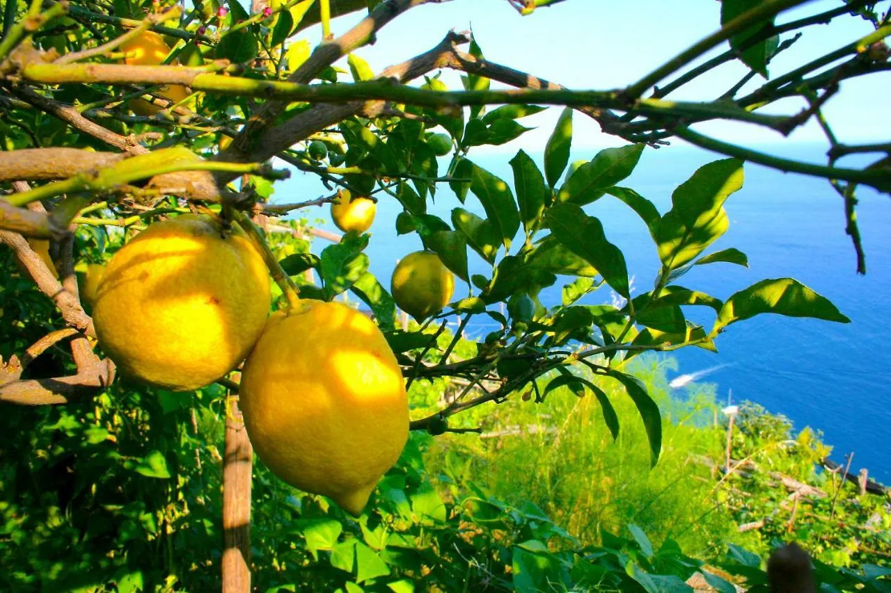 Villa l' ebbrezza di volare Amalfi 0*,  Italia
