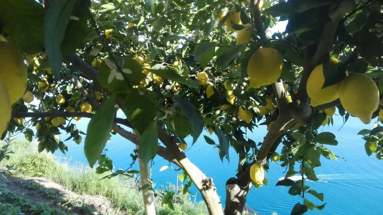 The Guardian Of Amalfi Villa 0*,